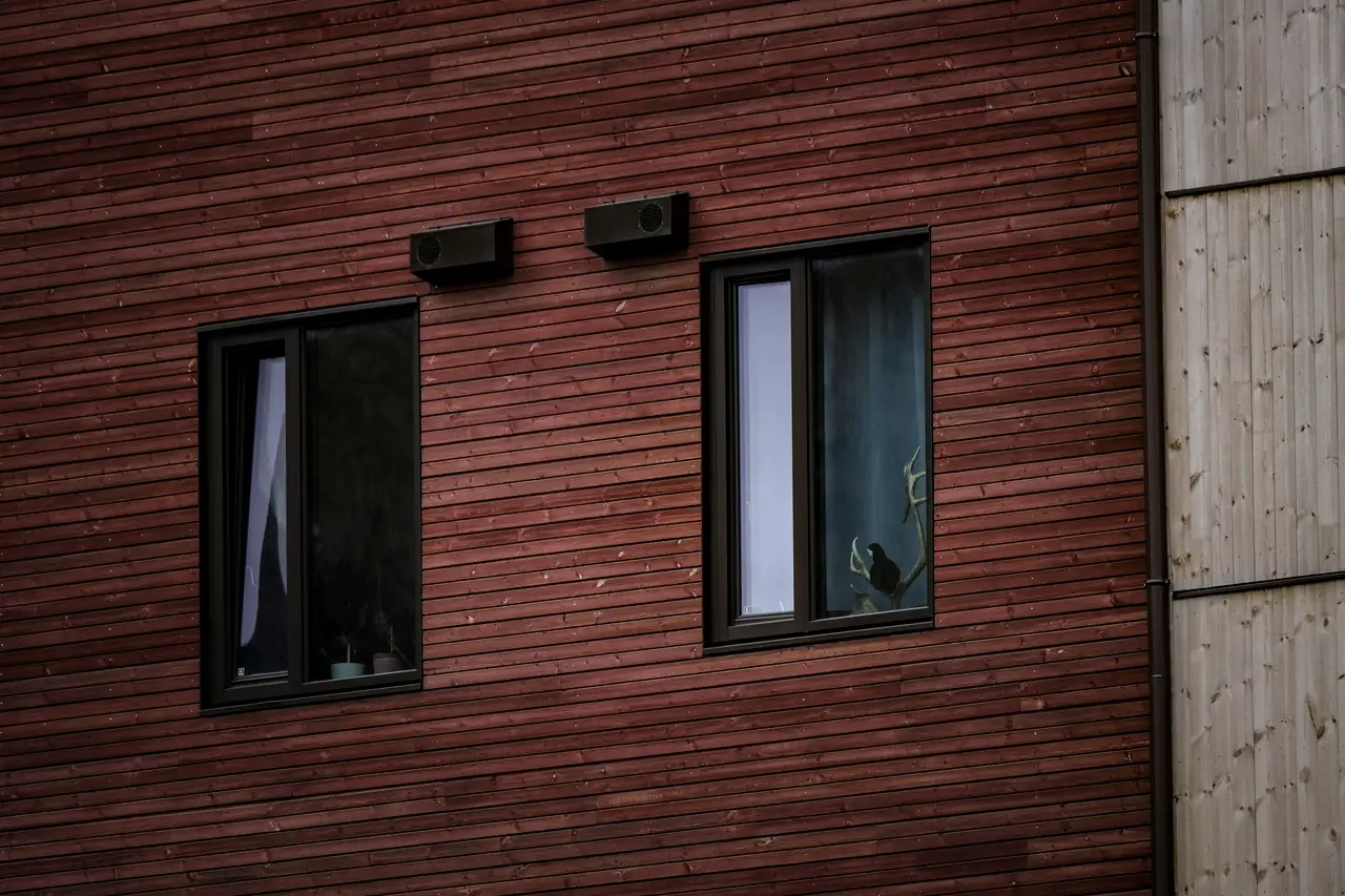 Dark cedar siding with two narrow black windows