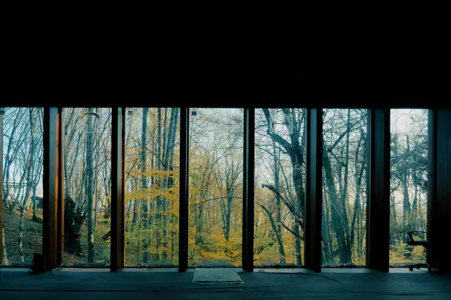 Dark room with a wall of tall black-framed windows looking into an autumn forest